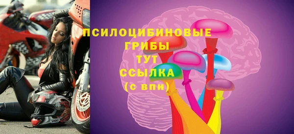 метадон Горняк